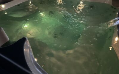 Sundance McKinley Hot Tub 2019