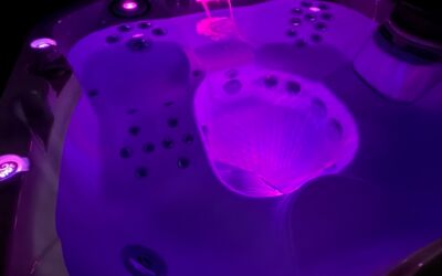 Jacuzzi J335  - 2019
