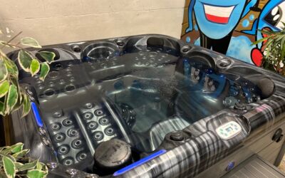 Blue Whale Kingsbury Hot Tub rrp £8500.00