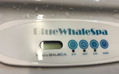 Bluewhale Juno 2 Seater