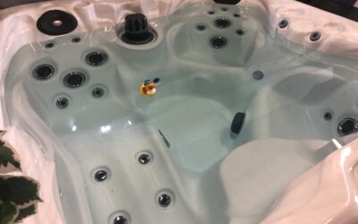 Evolution 6 Hot Tub