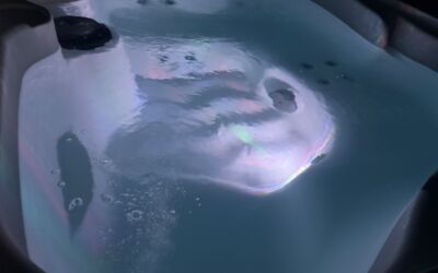 Freeflow azure 4-person Hot Tub