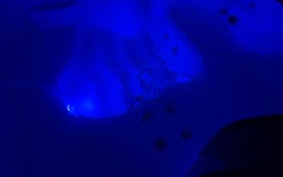 Freeflow azure 4-person Hot Tub